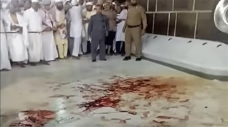 السعودية.. حقيقة 