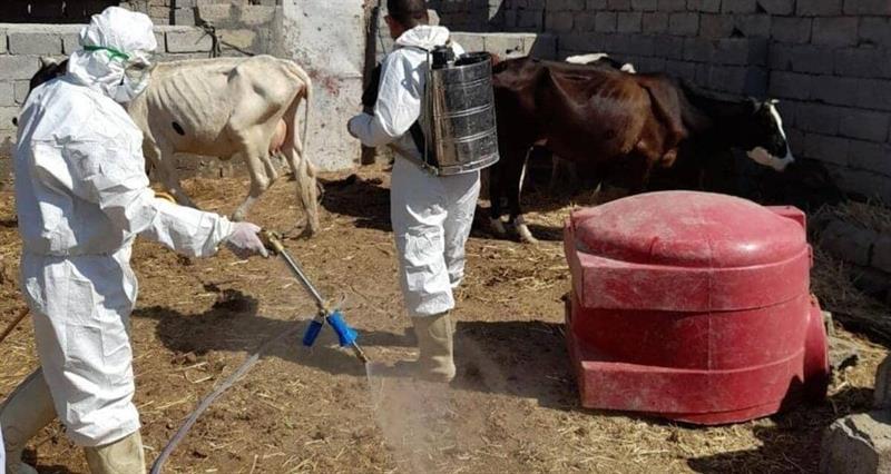 بعد ارتفاع حصيلة الاصابات … ذي قار تحذر من خطورة “الحمى النزفية” وتطلب المعونة