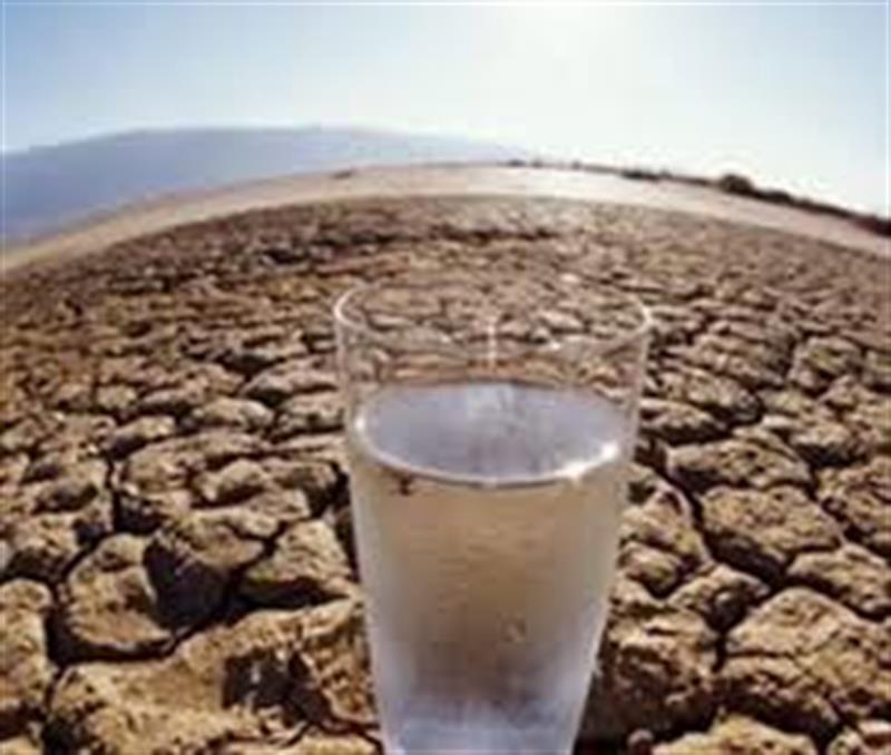 الكرعاوي يقدم مقترحاً الى الحكومة لدعم وتعويض المزارعين