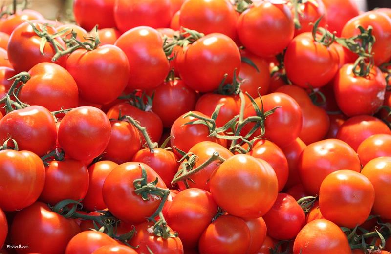 3 أصناف من البشر يحظر عليهم أكل الطماطم