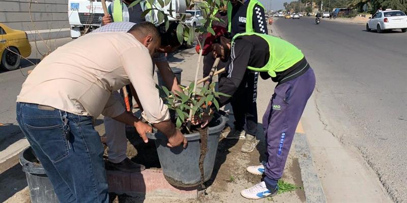وزارة البيئة تدعو المؤسسات بملء المساحات الفارغة بالنباتات