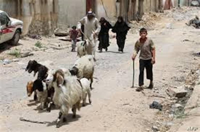 بابل تعلن تسجيل أول حالة وفاة بـ’الحمى النزفية’