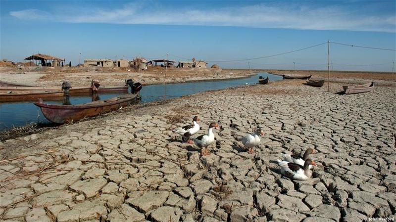 الحيالي يرصد حلا لأزمة المياه ويؤكد: حلول الحكومة “ترقيعية”
