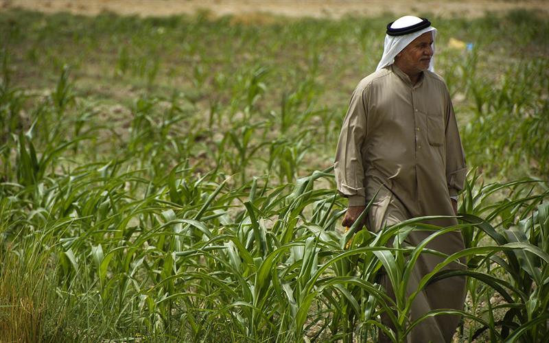 التجارة :تخصيص 500 مليار دينار لمستحقات الفلاحين والمزارعين للموسم التسويقي الحالي